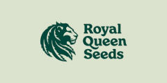 Royal Queen Seeds Royal Queen Seeds