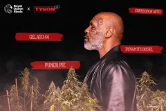 Tyson 2.0