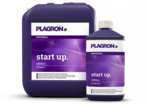 START UP