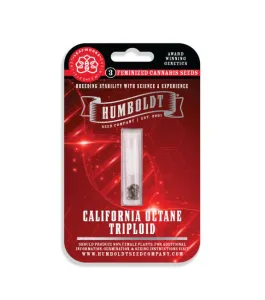 California Octane Triploid Feminisiert 3 Stück