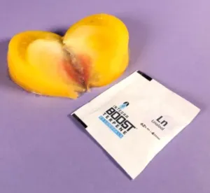 Integra Boost Terpene Linalool 4g 62% - Feuchtigkeitsregulator mit natürlichen Terpen