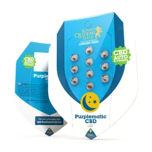 Purplematic CBD Royal Queen Seeds 5 Stück