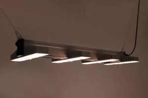 SANlight EVO 4-120 1.5