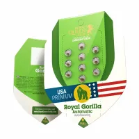Royal Gorilla Automatic ist eine...