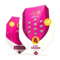Die Sorte Cheese ist eine legend...